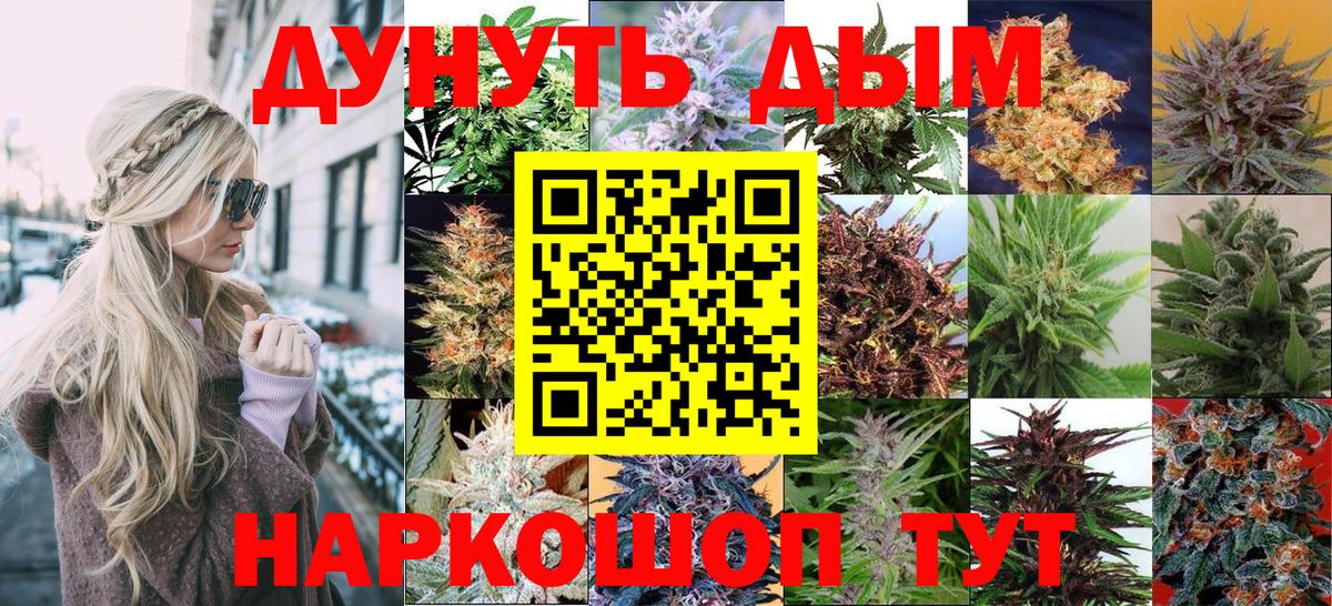 МАРИХУАНА сатива Гурьевск